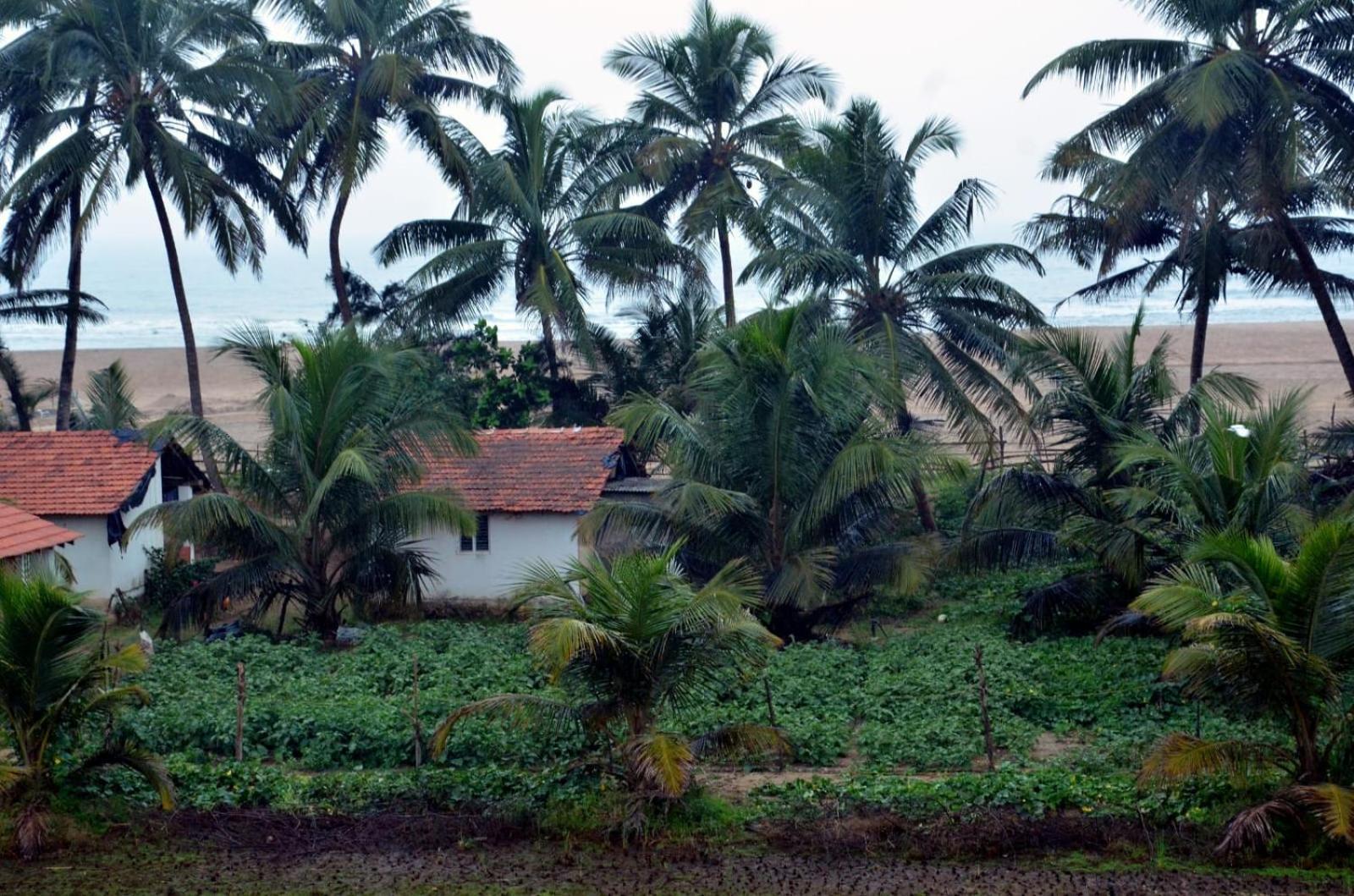 Kenchas Beach Resort Gokarna  Exteriör bild